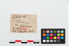 Etiketten zu Bronzeniet (NHMW-PRAE-024411)